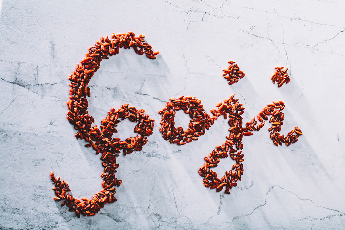 bacche di Goji per i cani