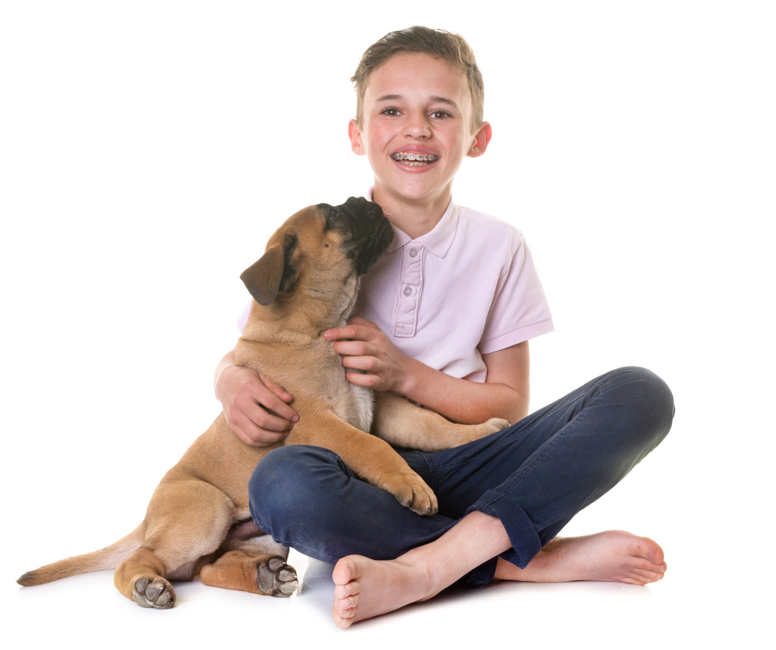 Bullmastiff