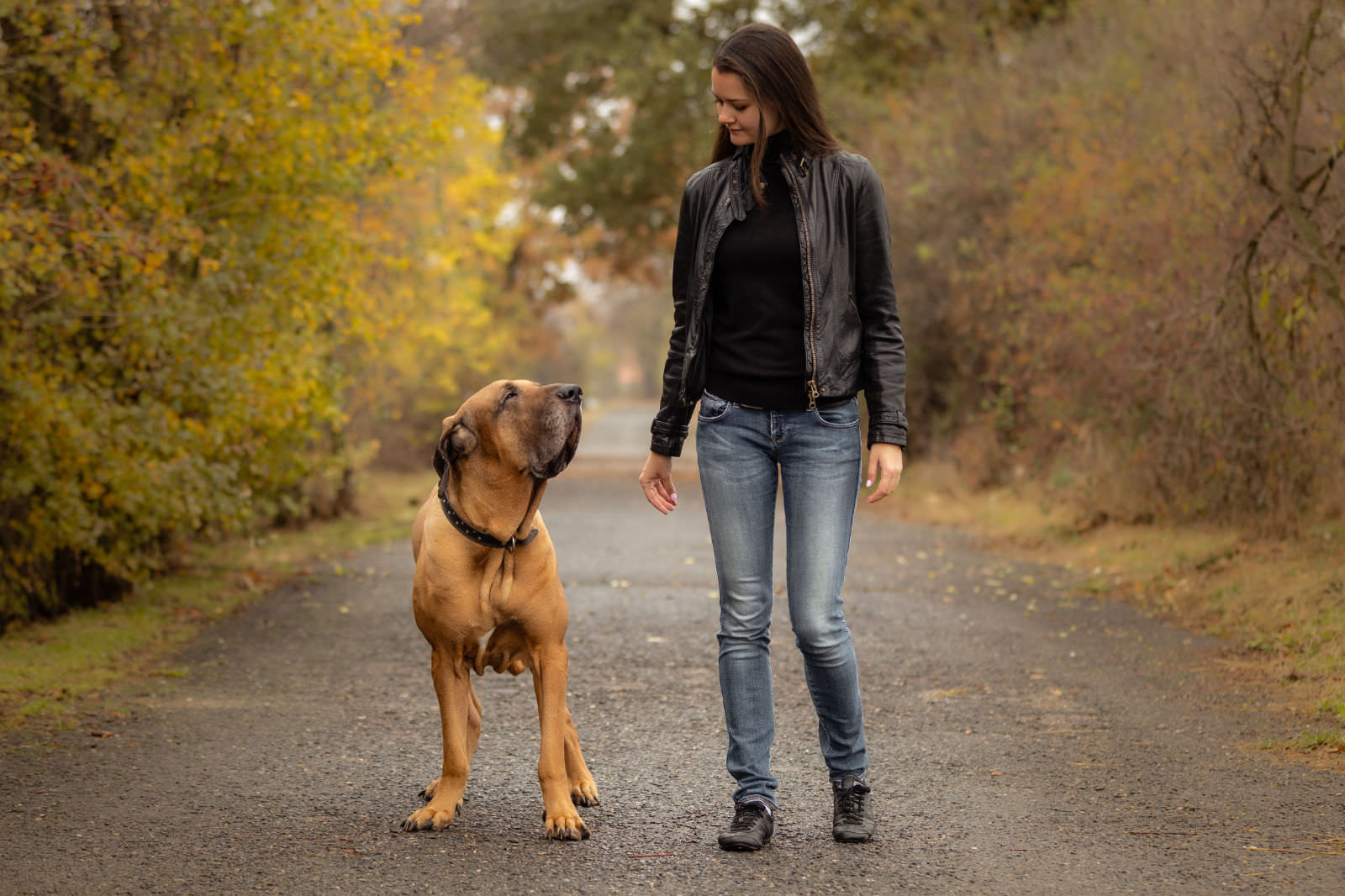Fila Brasileiro