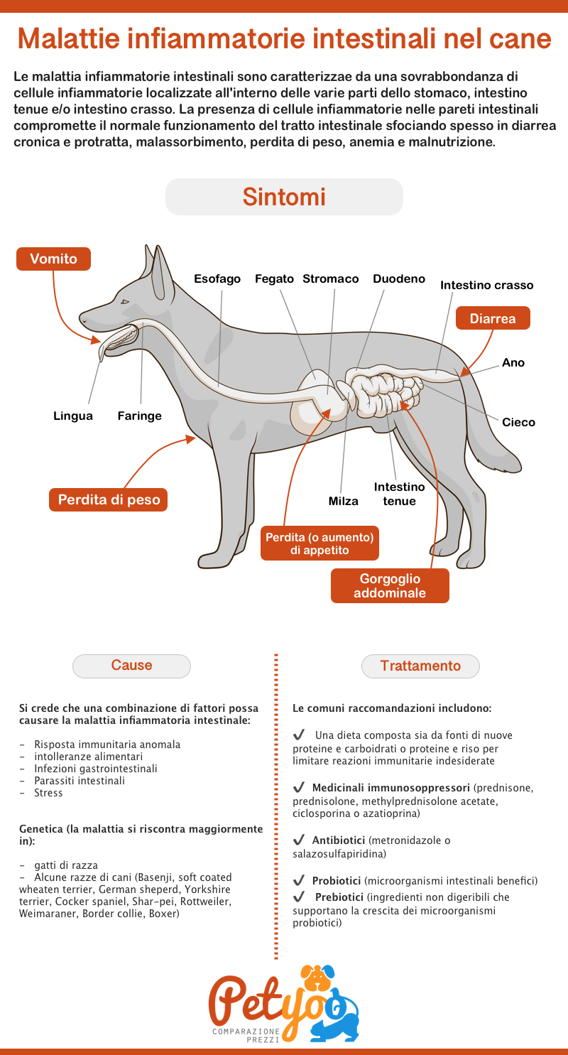 Malattie infiammatorie nel cane