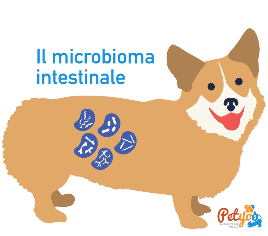 Il microbioma intestinale del cane