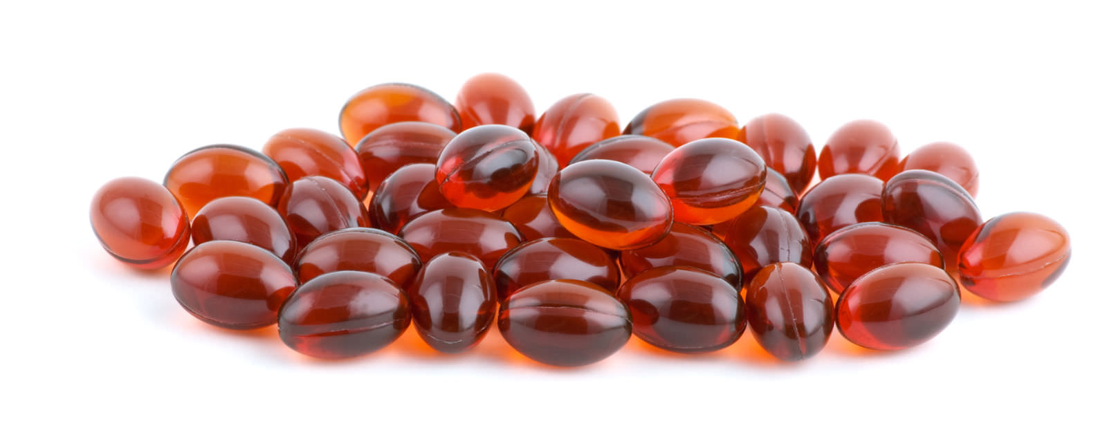 olio di pesce per cani e possibili tossine