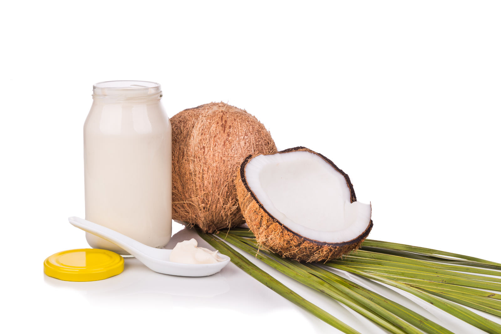 olio di cocco per cani