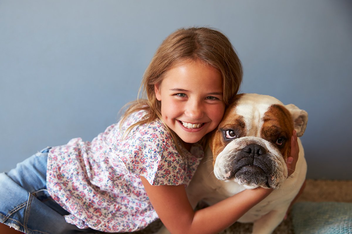 Bulldog Inglese