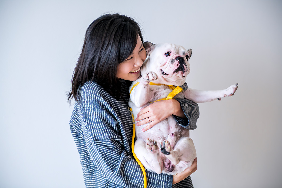 Bulldog Francese