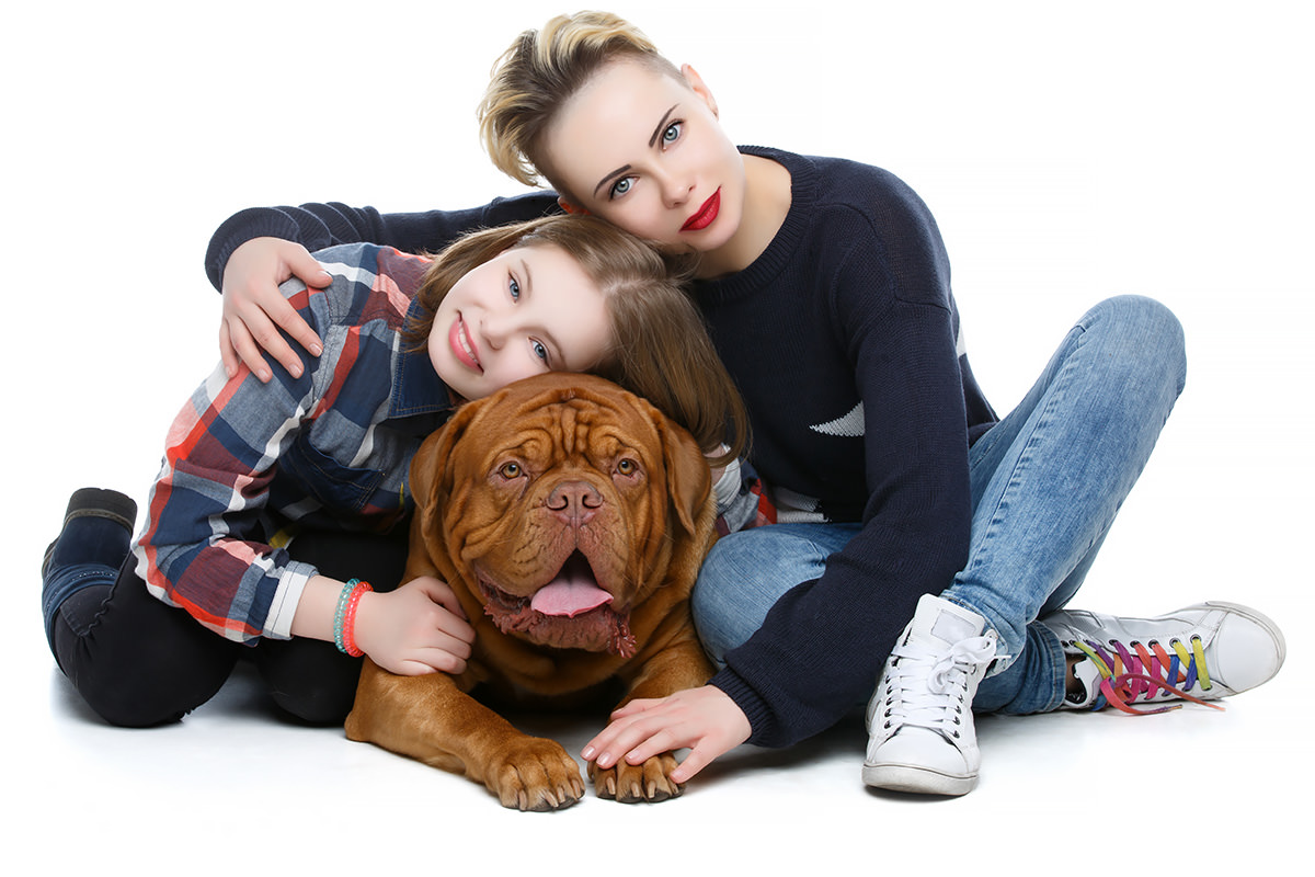 Dogue de Bordeaux