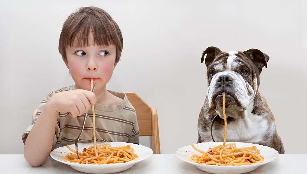 la tua salute ha un impatto su quella del tuo cane