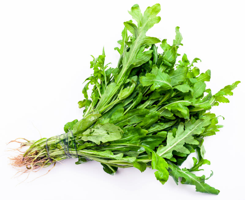 rucola