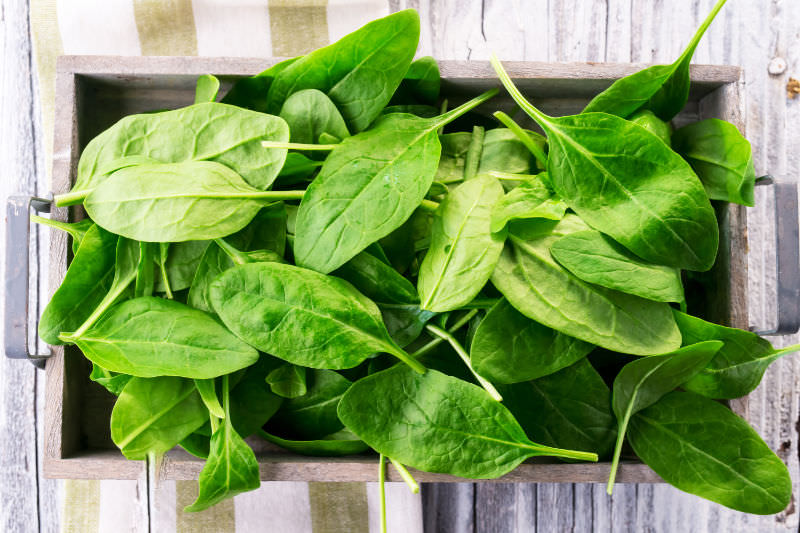spinaci