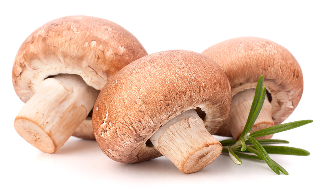 I cani possono mangiare i funghi del supermercato?