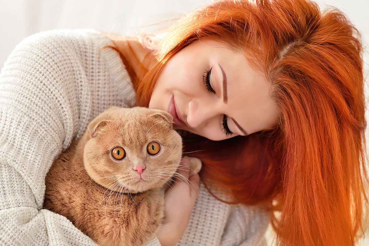 gatto rosso arancione