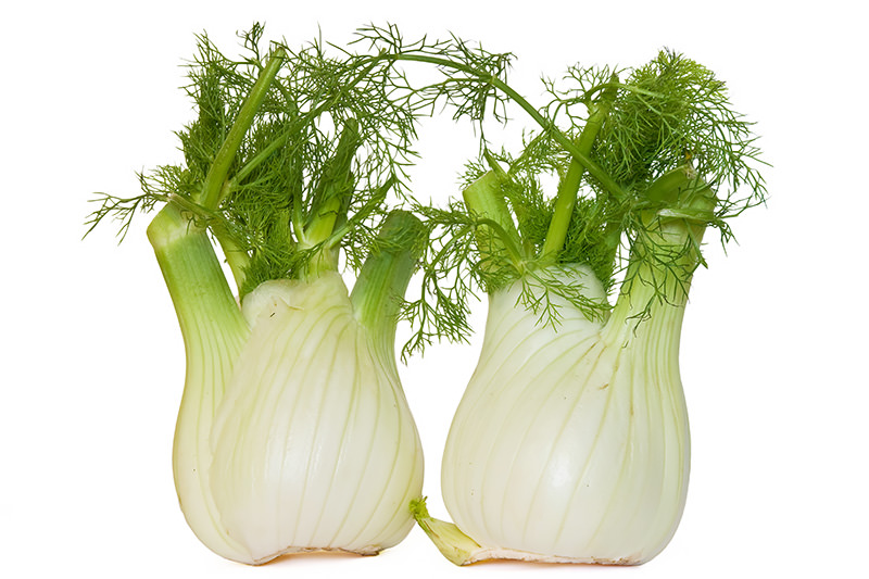 finocchio