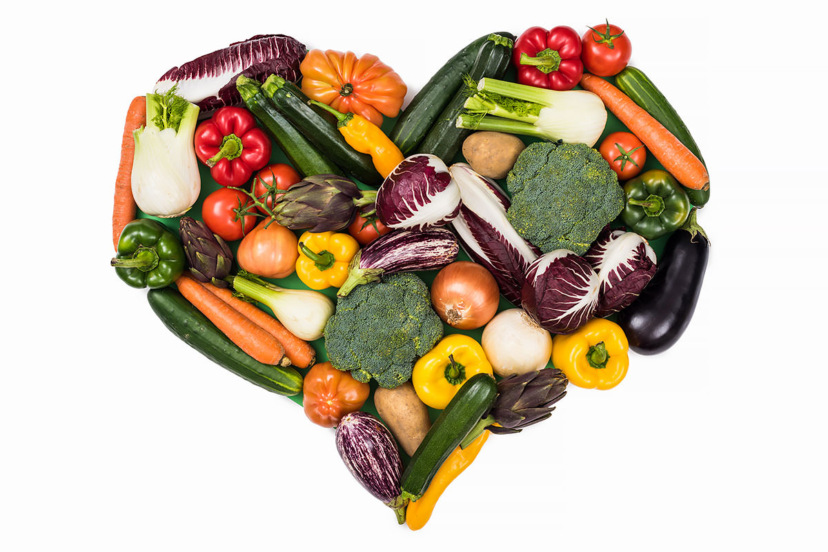 Alimentazione vegana per cani