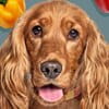Peperoni per cani: guida completa su variet&agrave;, quantit&agrave; e benefici