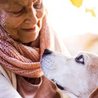 Le migliori 6 razze di cani per le persone anziane