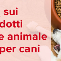 La verità sui sottoprodotti di origine animale nel cibo per cani