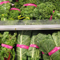 Frutta e verdure consigliate nell'alimentazione di un coniglio