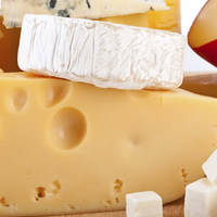 I cani possono mangiare Formaggio?