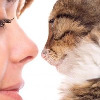 I sei migliori consigli per le persone allergiche ai gatti