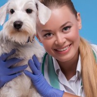 A che età dovreste castrare o sterilizzare il vostro cane?