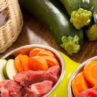 Una guida agli ingredienti per il cibo crudo | Alimentazione BARF cani