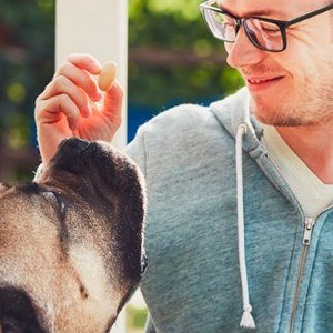 Cinque potenziali complicazioni del diabete nei cani