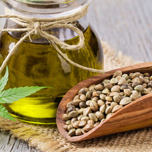Benefici dei semi e dell'olio di canapa per i cani