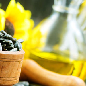 I cani possono mangiare i semi di girasole e l’olio di semi di girasole? Gli fanno bene o male?