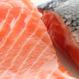Olio di salmone per le allergie dei cani: funziona davvero?