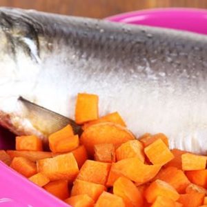 Il pesce nella dieta del cane: guida completa su benefici e rischi