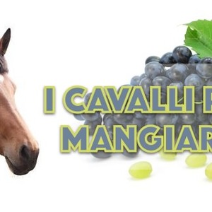 I cavalli possono mangiare l'uva con tutti i suoi semi?