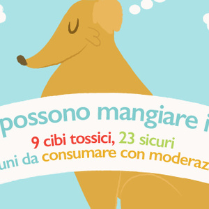 Cosa possono mangiare i cani? 9 cibi tossici, 23 sicuri, e alcuni da consumare con moderazione