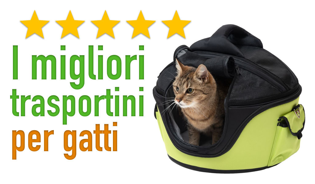 Trasportino Da Viaggio Per Cani, Con Lati Morbidi E Tappetini Per