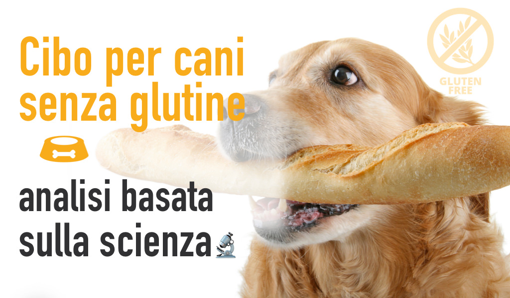 Cibo per cani senza glutine: analisi basata sulla scienza