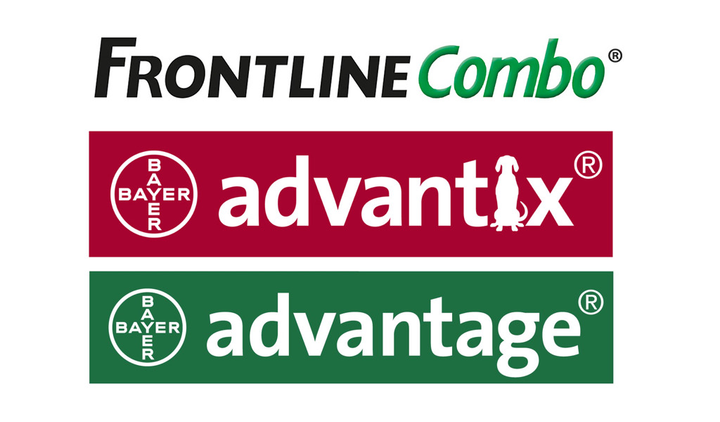 Frontline vs Advantix vs Advantage – Il migliore antiparassitario per cani