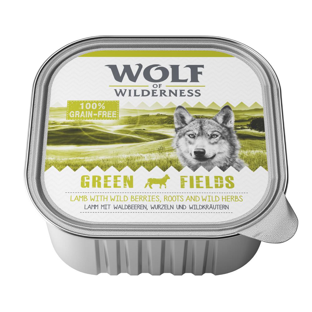Wolf of Wilderness