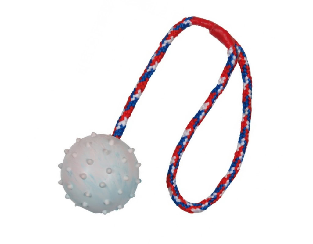 Palla Da Pastore Gigante Anti Scoppio Per Cani, Cavalli E Capre - Gonfiabile Con Copertura (25 Cm) - Foto 6