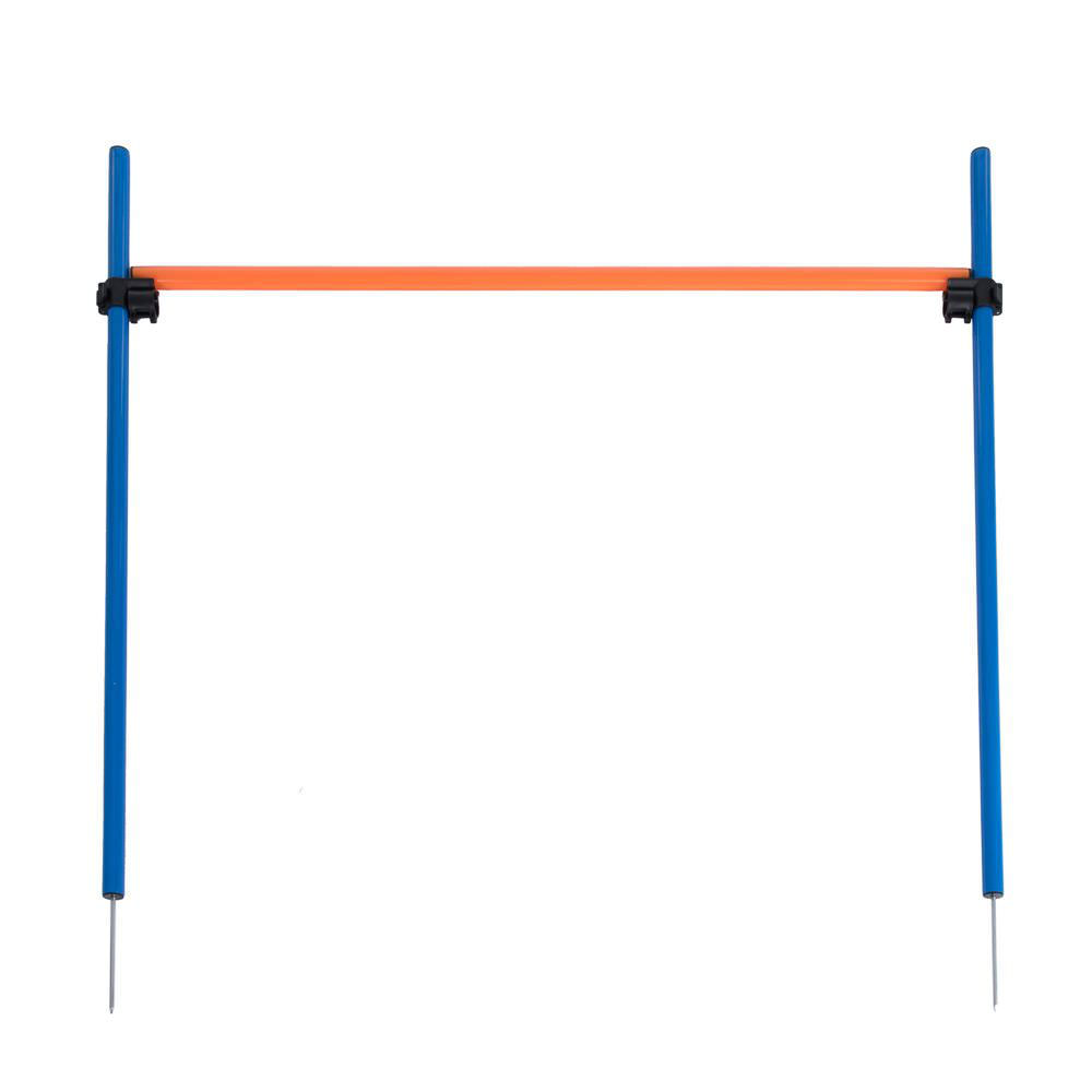 Salto ad ostacoli Agility Fun Sport