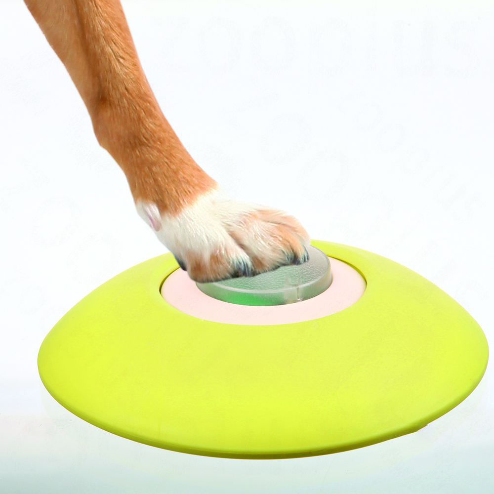 Trixie Dog Activity Memory Trainer