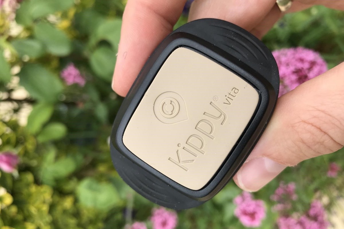 Kippy VITA