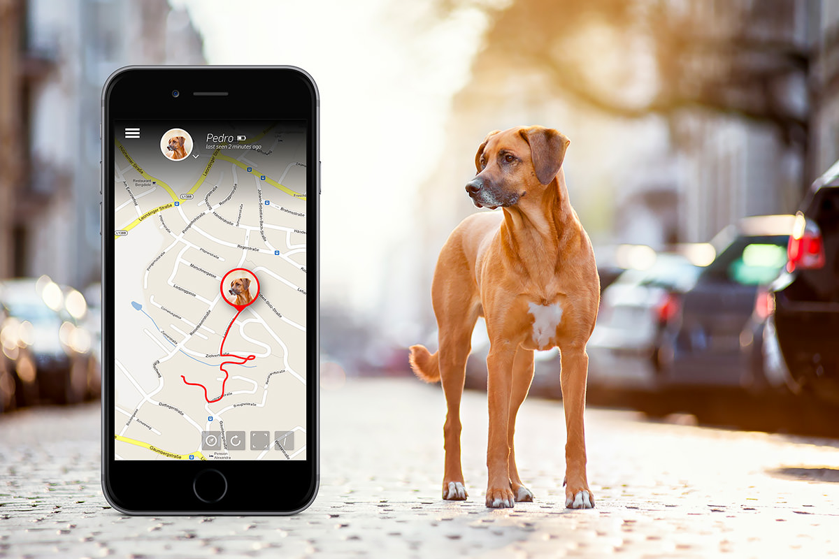GPS per cani Tractive