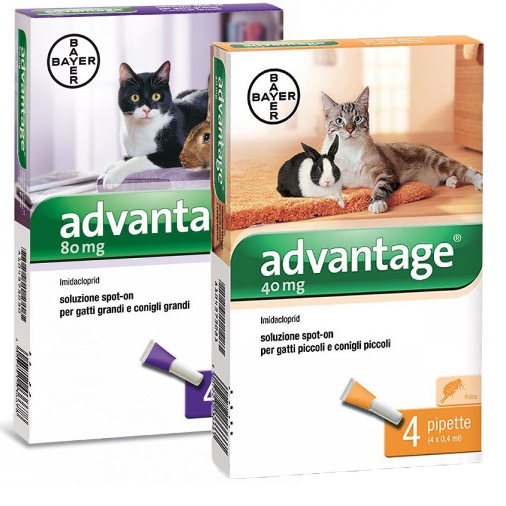 Advantage Spot on per Gatti