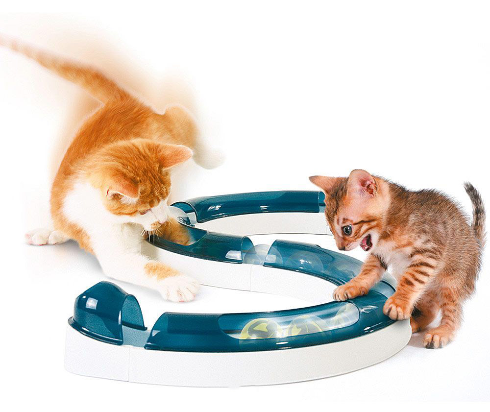 AMOE Giocattoli per Gatti 20 Pezzi Giochi Interattivi Gatti Gatto Giocattoli Interattivi Gioco per Gattino Kitten Indoor