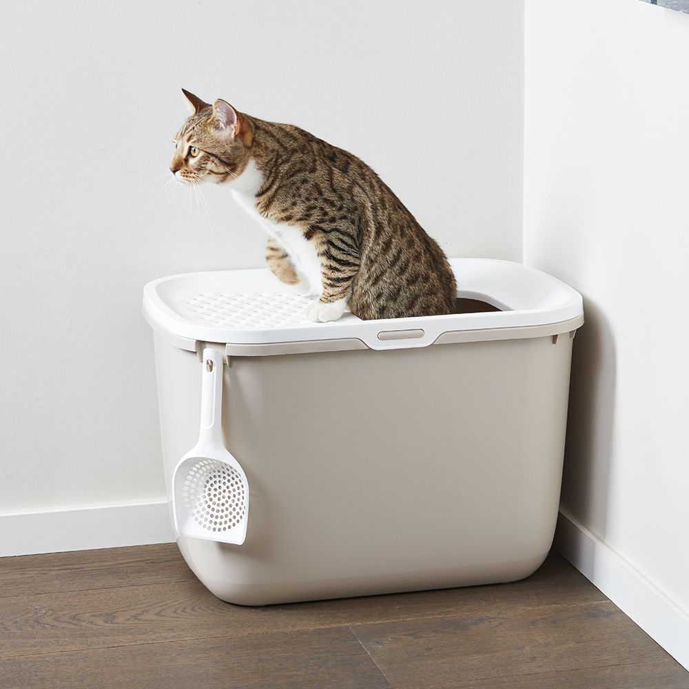 Toilette Savic Hop In