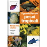 Riconoscerli, sceglierli e allevarli
