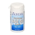 Neptune Krill Oil - Olio di Krill dell'Antartico - 60 Softgels