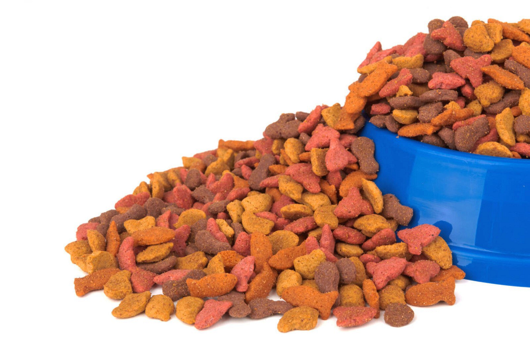 Alimenti per cani a basso contenuto di fosforo (guida veterinaria)