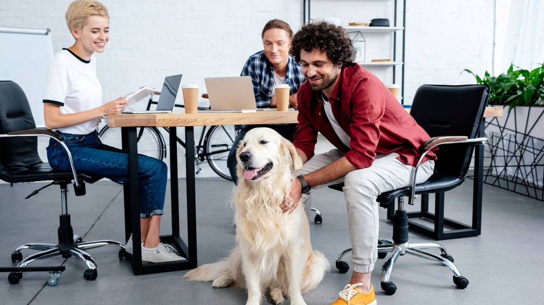 Ufficio pet-friendly: le regole d'igiene essenziali per un ambiente di lavoro sano