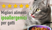 Il migliore cibo ipoallergenico per gatti: Guida completa & Recensione